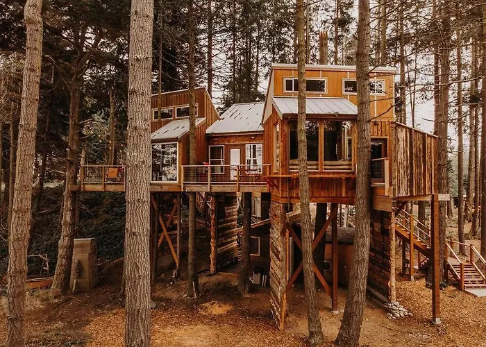 Treehouse On The Water -Eagles Nest-20 Ft High