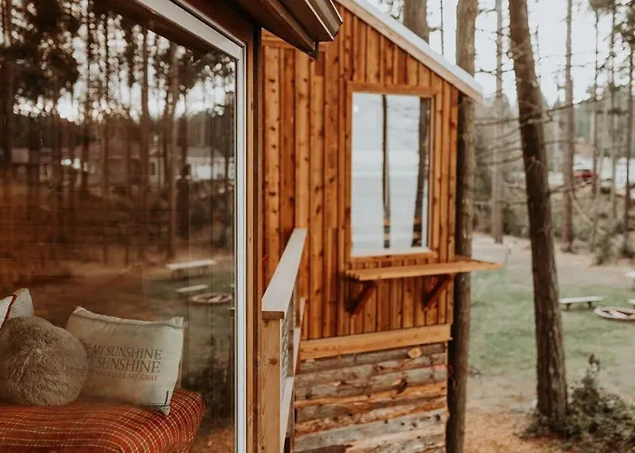 Treehouse-Small Eagles Perch Over The Water